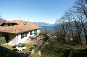 Mirtillo Fernarda Stresa